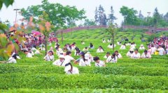 搭建平易近族交往交换交融的平台